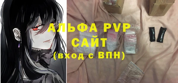 прущие грибы Верея