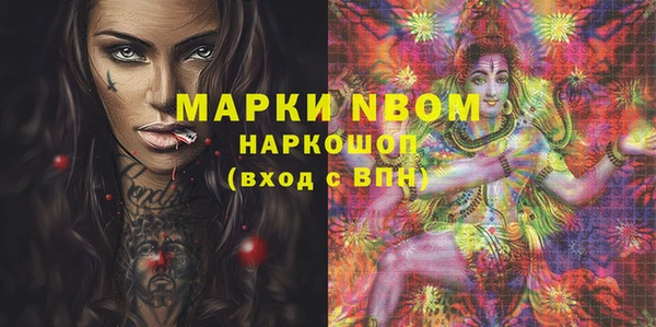 прущие грибы Верея