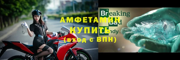 прущие грибы Верея