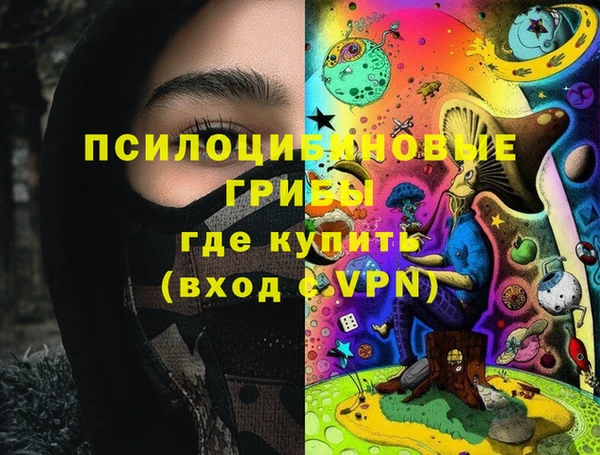 прущие грибы Верея