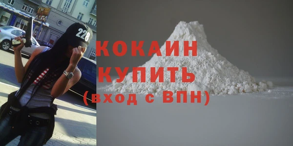 прущие грибы Верея