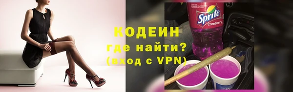 прущие грибы Верея