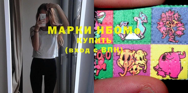 прущие грибы Верея