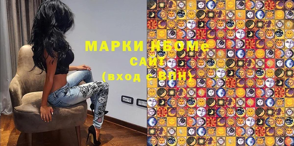 прущие грибы Верея