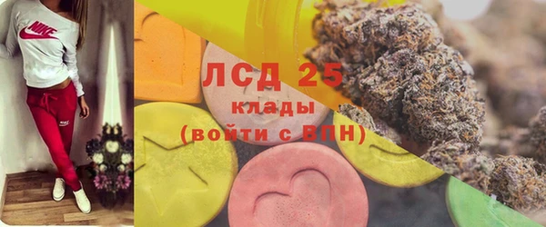 прущие грибы Верея