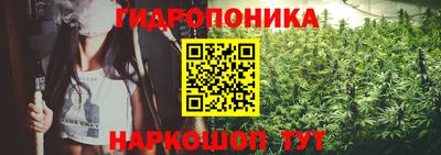 стаф Берёзовский