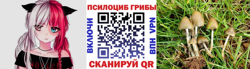 даркнет сайт Энгельс мега ссылки Галлюциногенные грибы Psilocybine cubensis