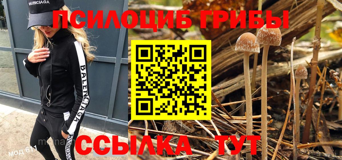 Псилоцибиновые грибы ЛСД  Вход с VPN  Энгельс 